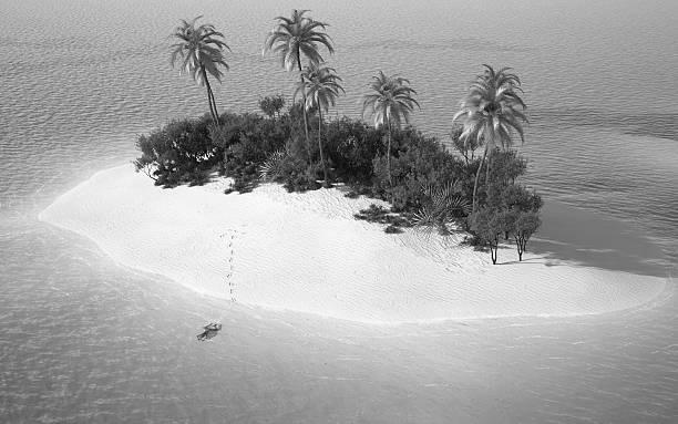 Desert Island Picks image 2